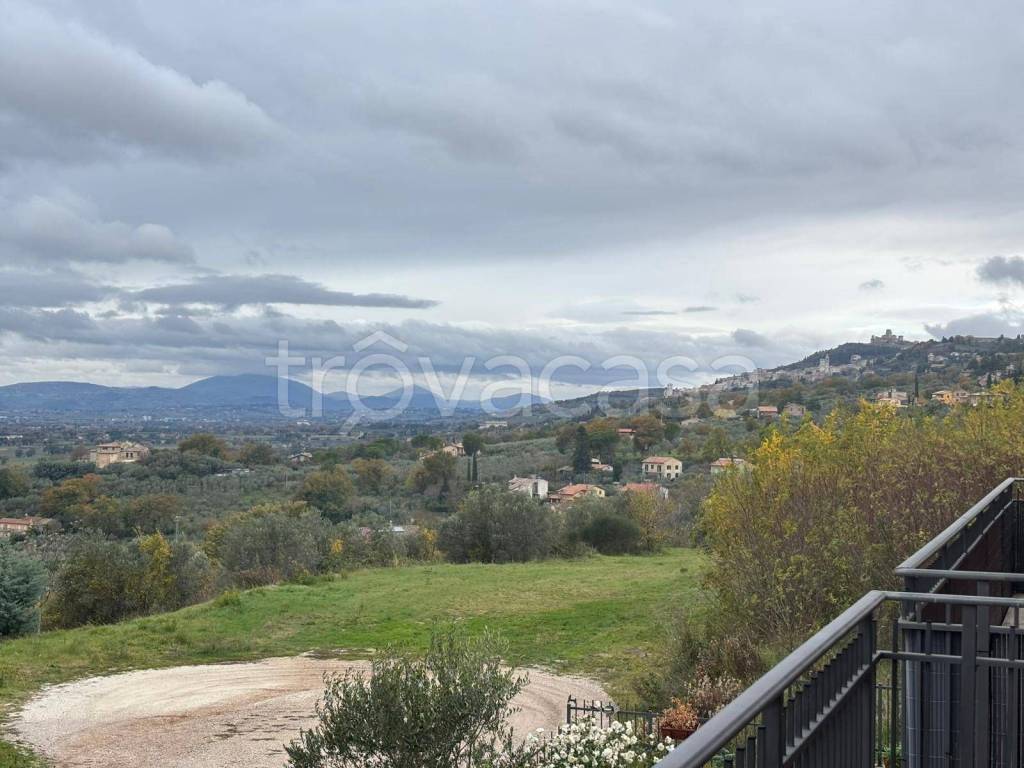 appartamento in vendita ad Assisi