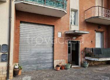 appartamento in vendita ad Assisi in zona Petrignano