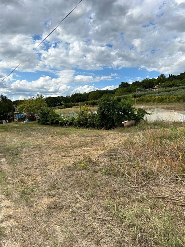 terreno agricolo in vendita ad Assisi