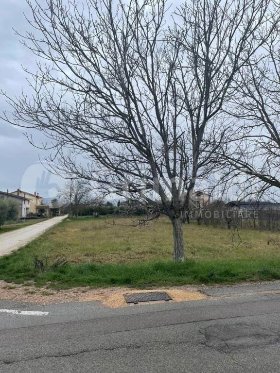 terreno in vendita ad Assisi