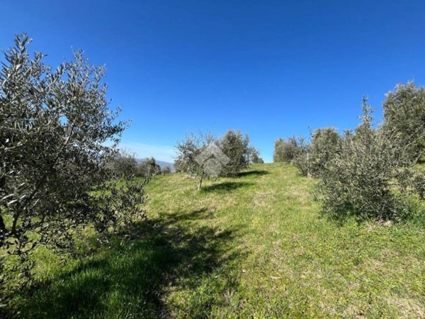 terreno agricolo in vendita ad Assisi in zona Pieve San Nicolò