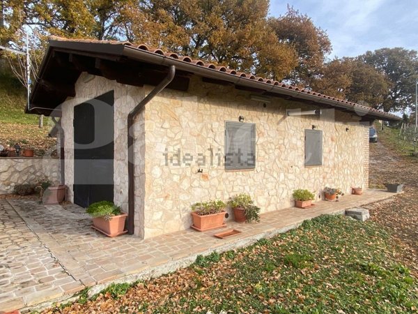 appartamento in vendita ad Assisi in zona Porziano