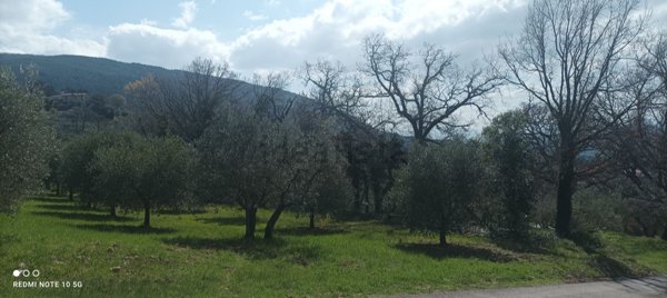 terreno edificabile in vendita ad Assisi