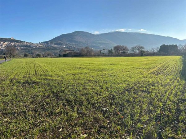 terreno agricolo in vendita ad Assisi in zona Santa Maria degli Angeli