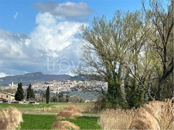 terreno agricolo in vendita ad Assisi in zona Castelnuovo