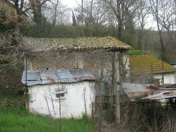 terreno agricolo in vendita ad Assisi in zona Palazzo