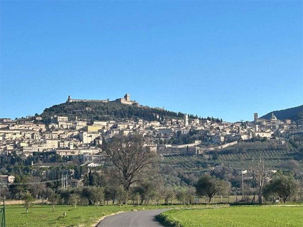 terreno in vendita ad Assisi in zona Santa Maria degli Angeli