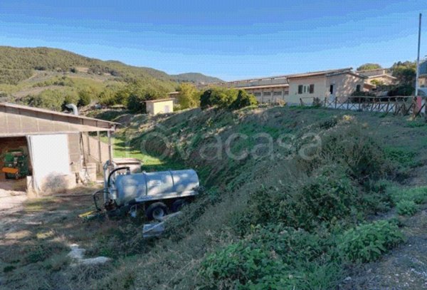 azienda agricola in vendita ad Assisi