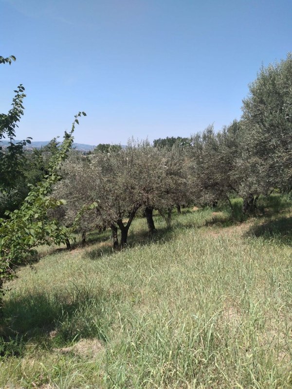terreno edificabile in vendita ad Assisi