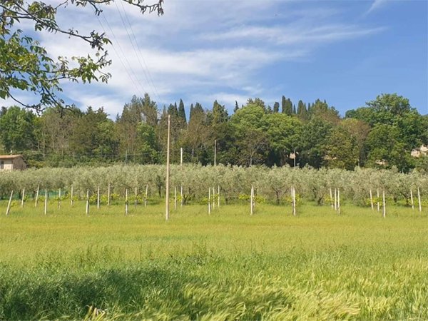 terreno in vendita ad Assisi in zona Tordandrea