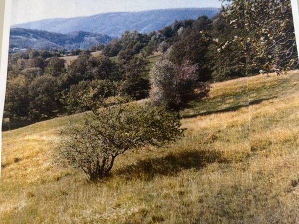 terreno edificabile in vendita ad Assisi in zona San Presto