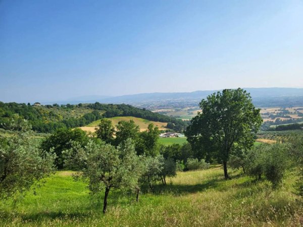 casa indipendente in vendita ad Assisi in zona Pieve San Nicolò