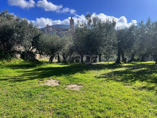 terreno agricolo in vendita ad Assisi in zona Santa Maria degli Angeli