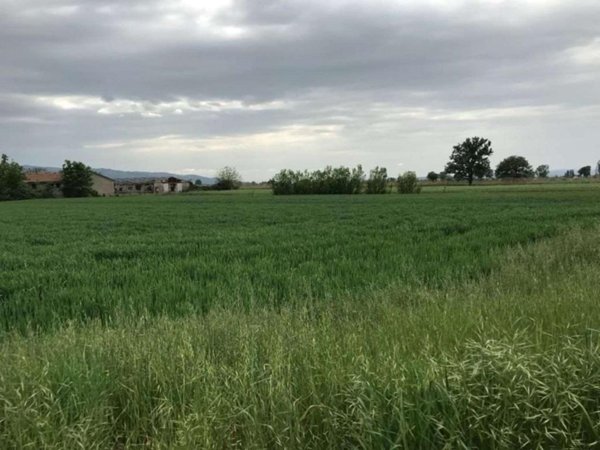 terreno edificabile in vendita ad Assisi in zona Castelnuovo