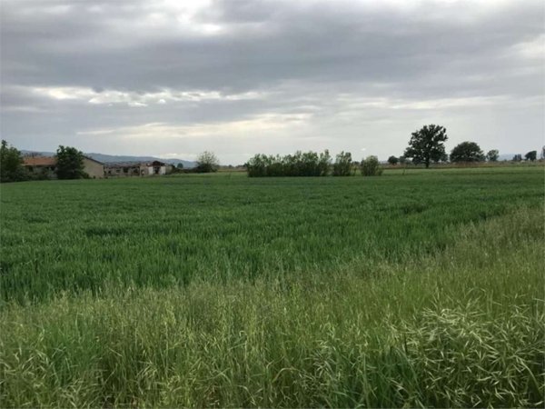 terreno edificabile in vendita ad Assisi in zona Castelnuovo