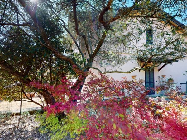 casa indipendente in vendita ad Assisi in zona Viole