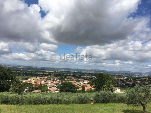 terreno agricolo in vendita ad Assisi in zona Palazzo