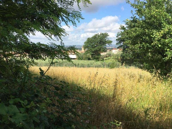 terreno agricolo in vendita ad Assisi in zona Palazzo
