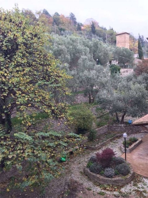 negozio in vendita ad Assisi