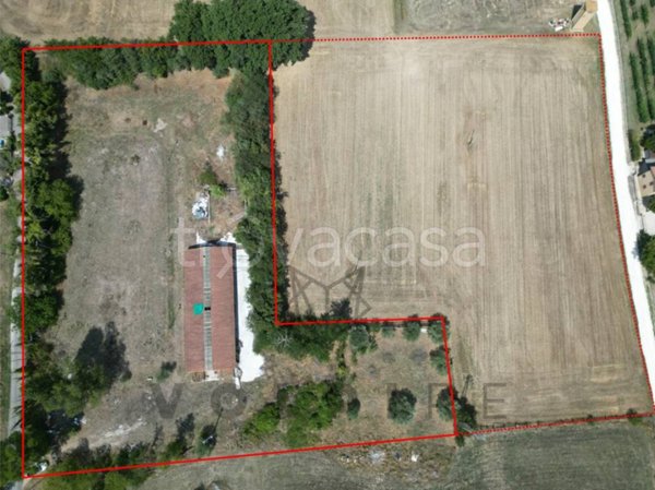 terreno agricolo in vendita ad Assisi in zona Santa Maria degli Angeli