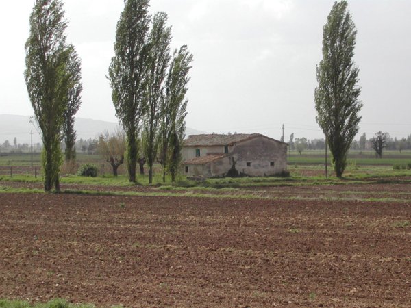 casale in vendita ad Assisi