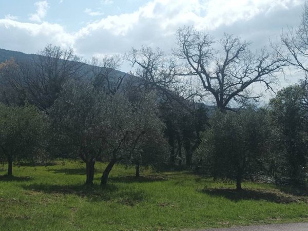 terreno edificabile in vendita ad Assisi