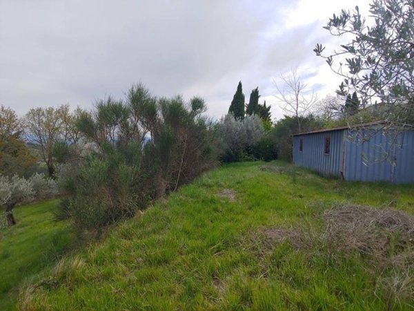 terreno in vendita ad Assisi