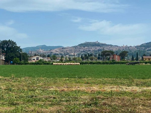 terreno in vendita ad Assisi in zona Santa Maria degli Angeli