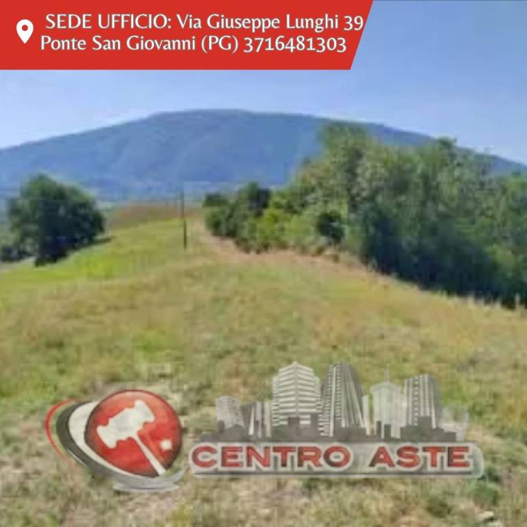 terreno in vendita ad Assisi