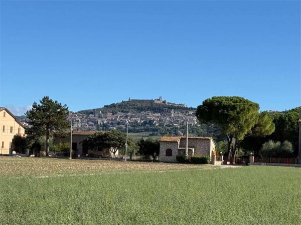 terreno agricolo in vendita ad Assisi in zona Castelnuovo