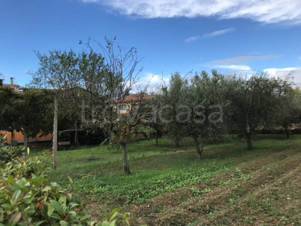 casa indipendente in vendita ad Assisi