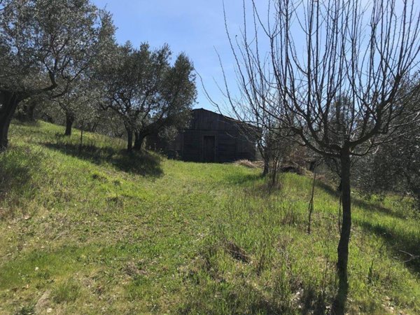 terreno in vendita ad Assisi in zona Sterpeto