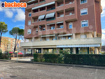 negozio in vendita a Bastia Umbra