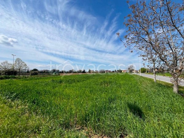 terreno agricolo in vendita a Bastia Umbra