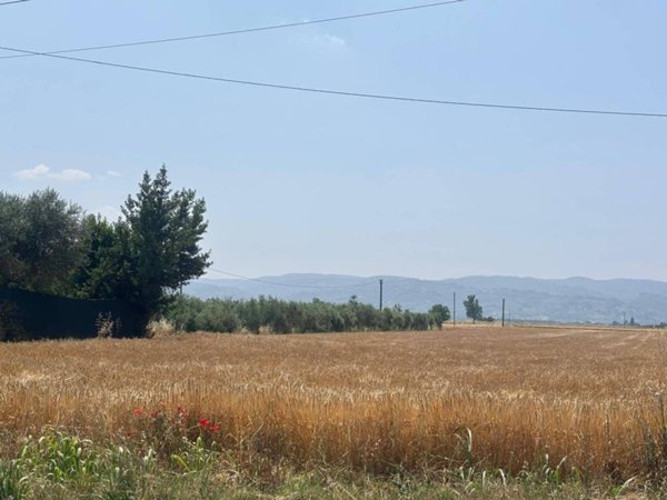 terreno agricolo in vendita a Bastia Umbra in zona Cipresso