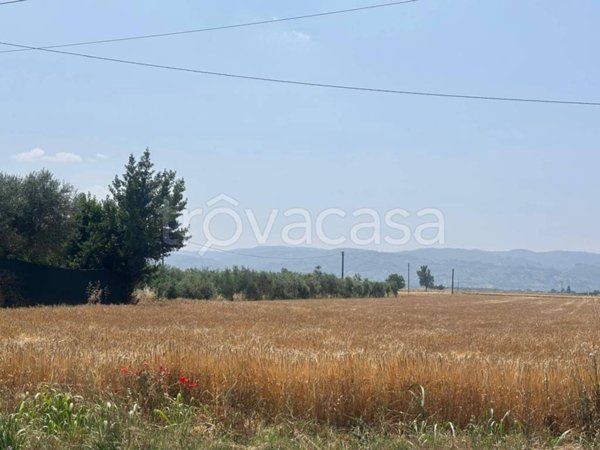 terreno agricolo in vendita a Bastia Umbra in zona Cipresso