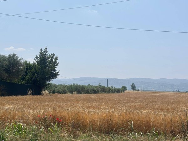 terreno edificabile in vendita a Bastia Umbra in zona Cipresso