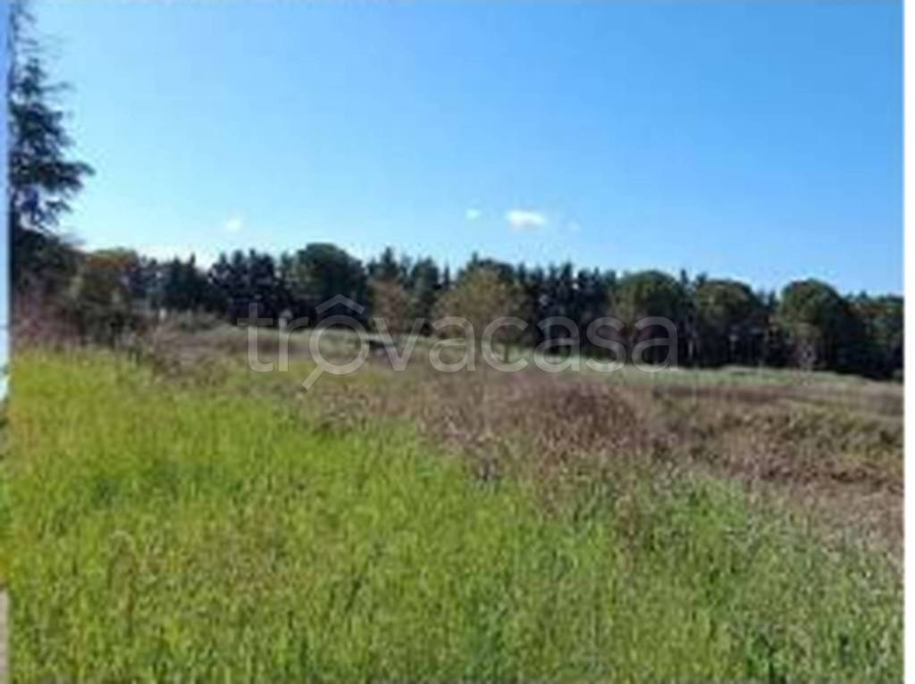 terreno edificabile in vendita a Bastia Umbra in zona Ospedalicchio