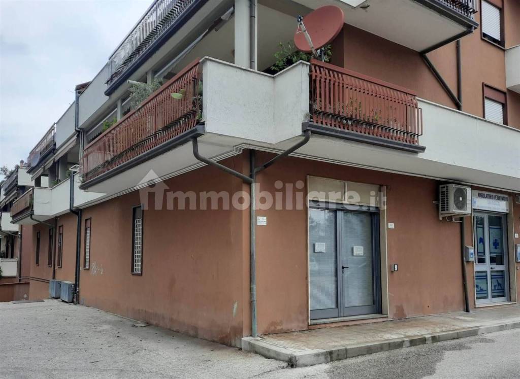 negozio in vendita a Bastia Umbra