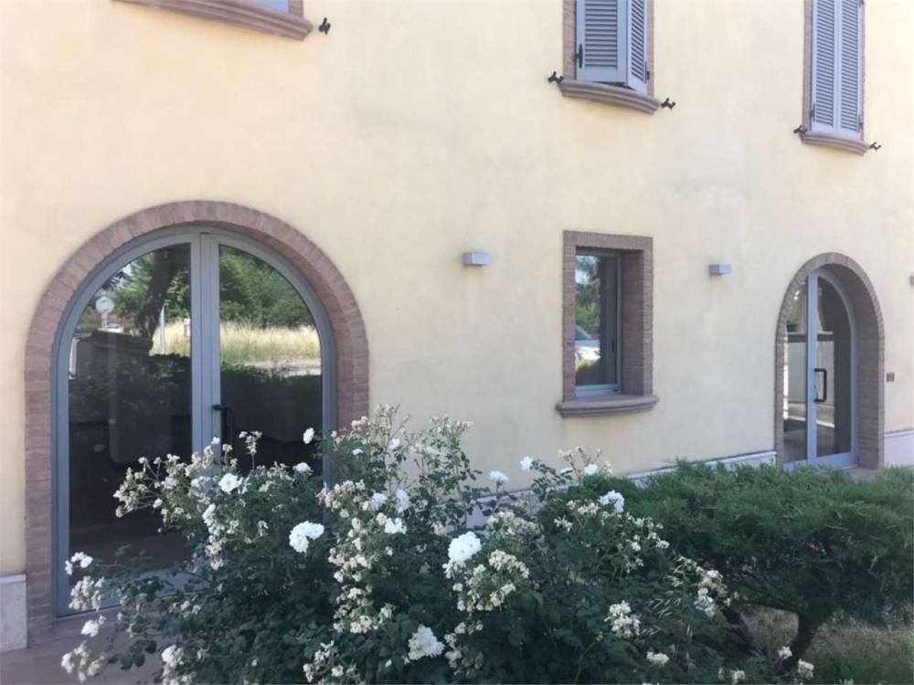 immagine annuncio 0 di 12