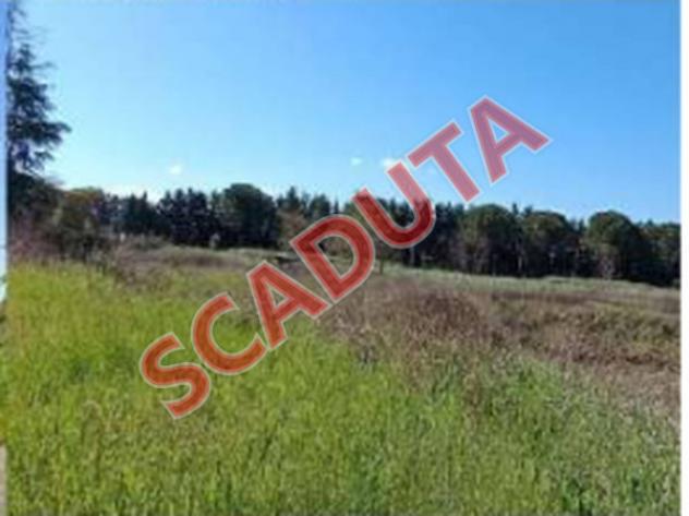 terreno edificabile in vendita a Bastia Umbra in zona Ospedalicchio