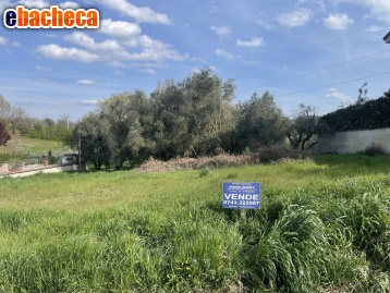 terreno edificabile in vendita a Bettona in zona Passaggio