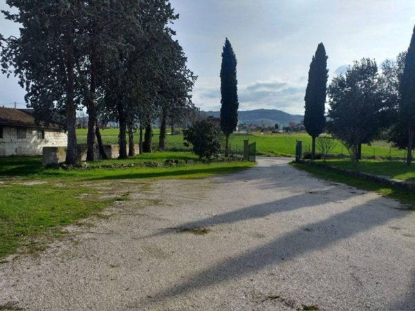 intera palazzina in vendita a Bettona in zona Colle