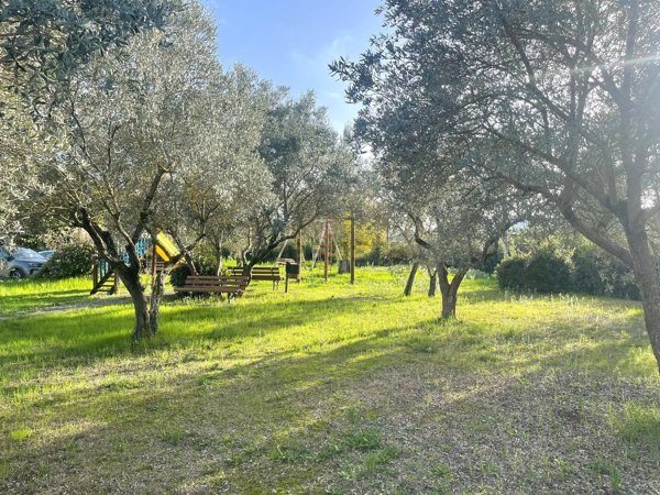 appartamento in vendita a Bettona in zona Colle