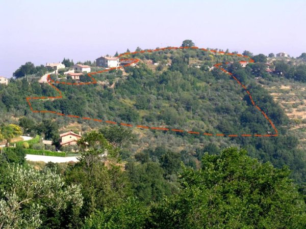 terreno agricolo in vendita a Bettona