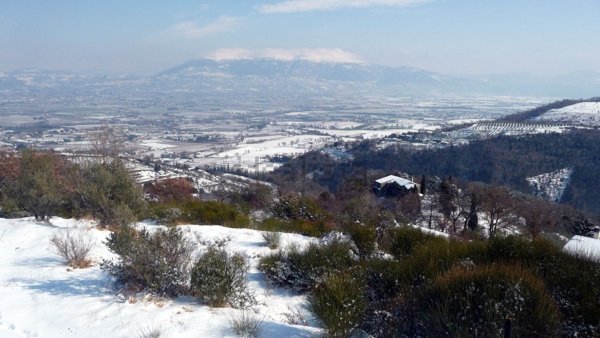 terreno edificabile in vendita a Bettona