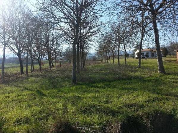 terreno agricolo in vendita a Bettona in zona Passaggio