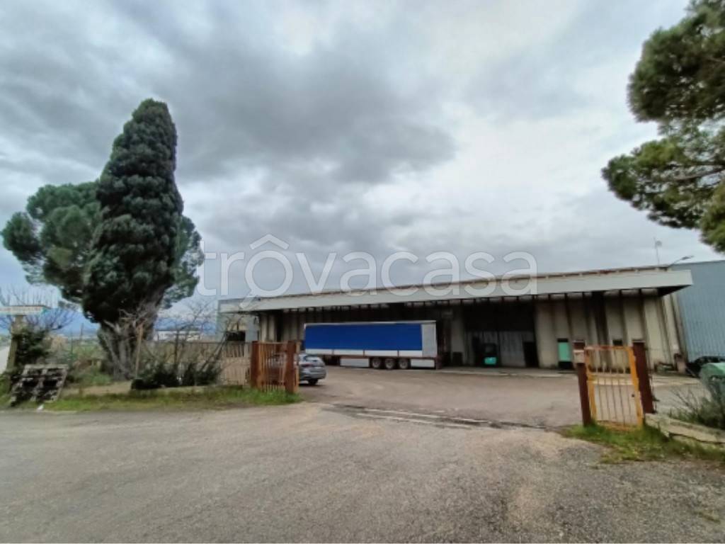capannone in vendita a Bettona