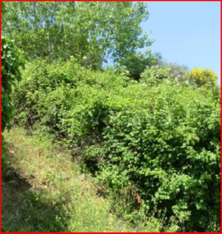 terreno edificabile in vendita a Bettona