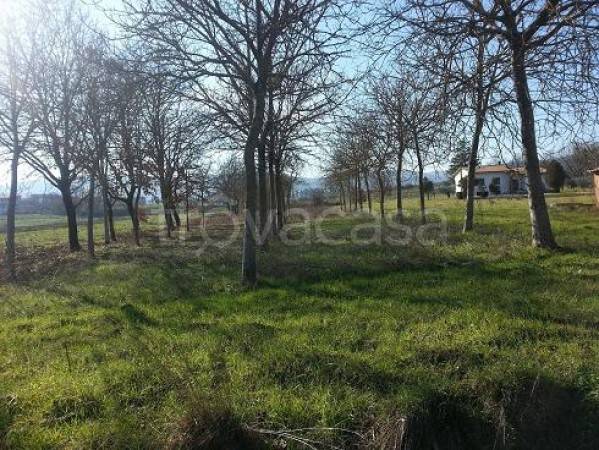 terreno agricolo in vendita a Bettona in zona Passaggio